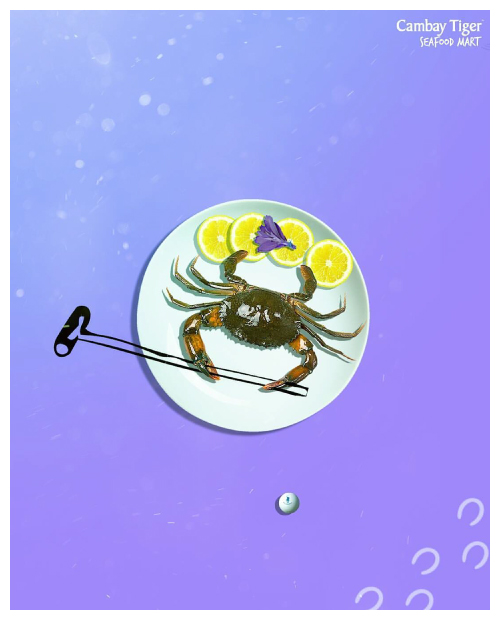 cambay-tiger-packaging