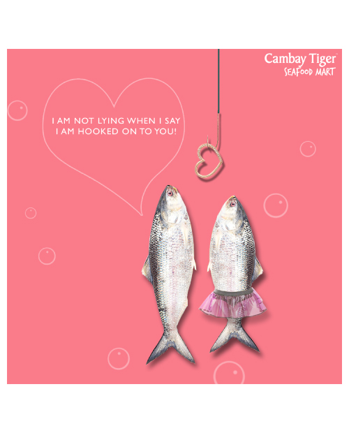 cambay-tiger-packaging