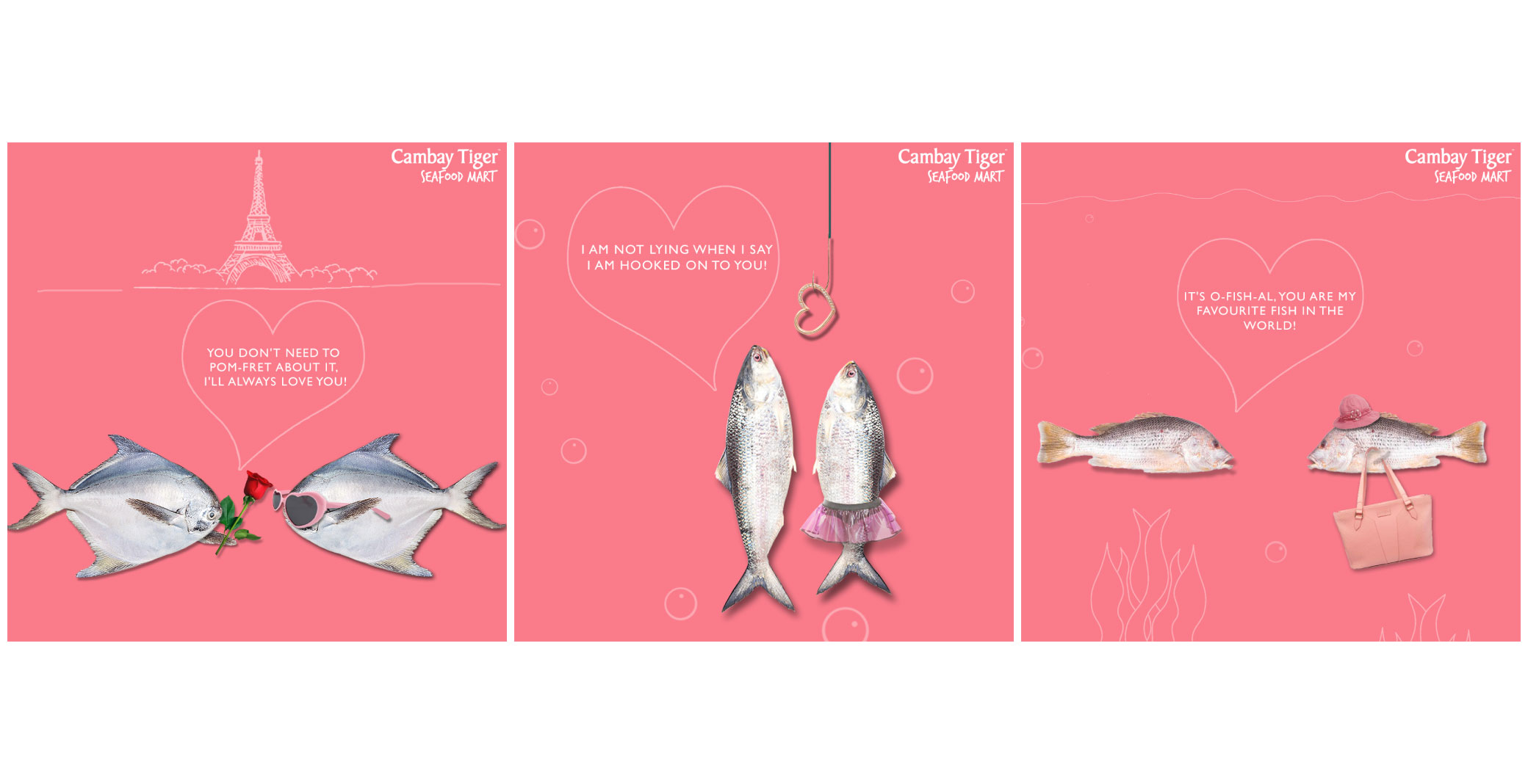 cambay-tiger-packaging